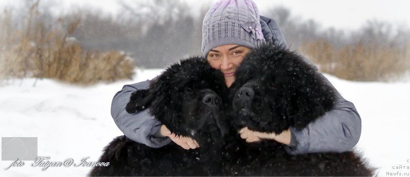 Фото: ньюфаундленд Русалочка из Племени Кедра (Rusalochka iz Plemeni Kedra), Елизавета Павлова, ньюфаундленд Эльбрус из Антаграда