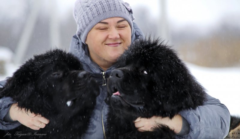 Фото: ньюфаундленд Русалочка из Племени Кедра (Rusalochka iz Plemeni Kedra), Елизавета Павлова, ньюфаундленд Эльбрус из Антаграда
