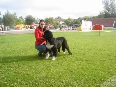 Фотография № 17318