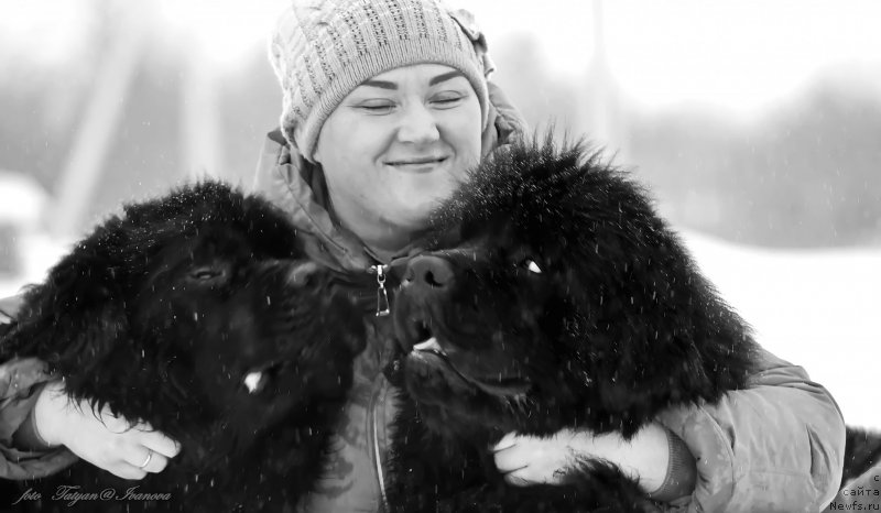 Фото: ньюфаундленд Русалочка из Племени Кедра (Rusalochka iz Plemeni Kedra), Елизавета Павлова, ньюфаундленд Эльбрус из Антаграда
