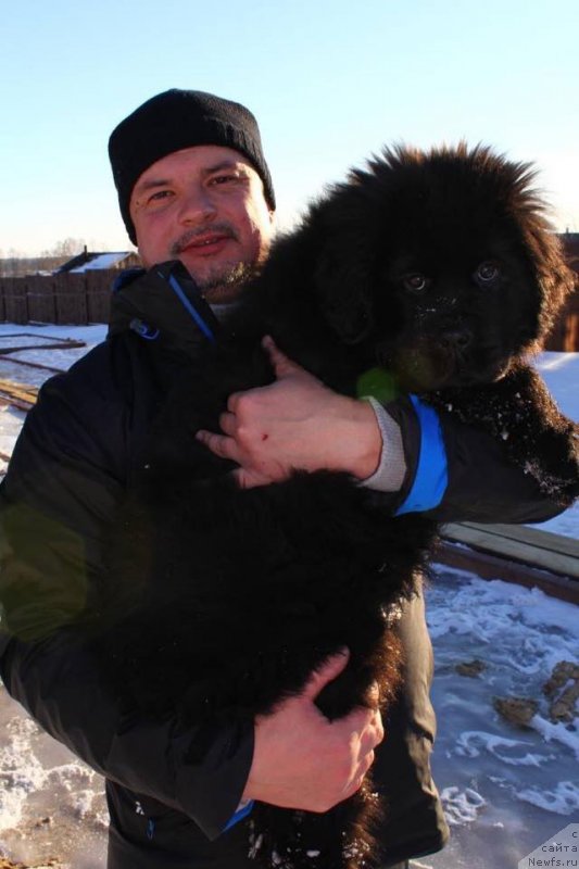 Фотография № 173197