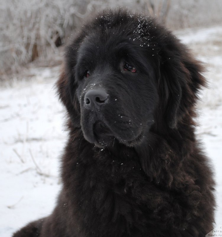 Фотография № 173216