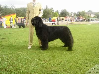 Фотография № 17322