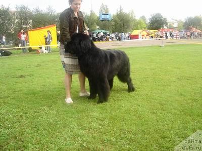 Фотография № 17324