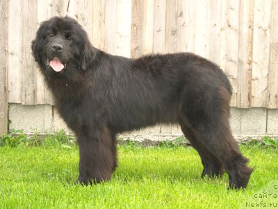 Фотография № 173242