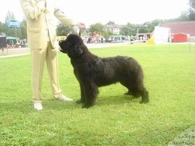 Фотография № 17326