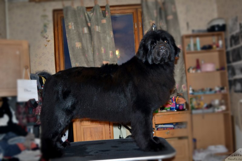 Фотография № 173272