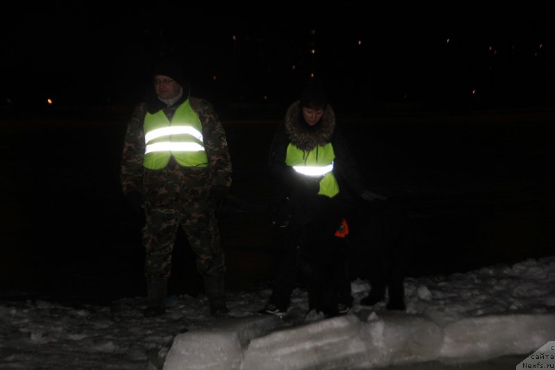 Фотография № 173273