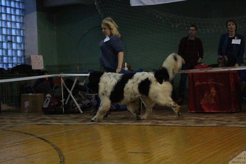 Фотография № 173280