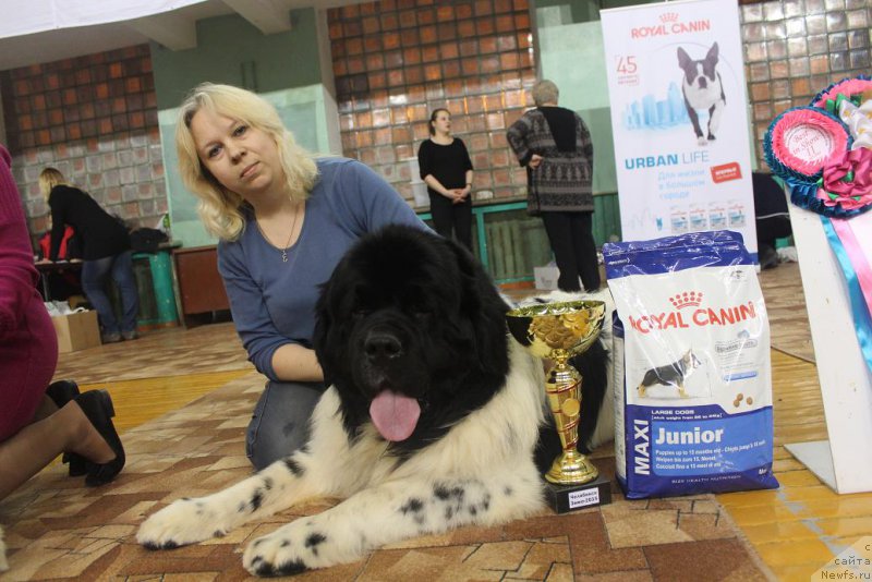 Фотография № 173281