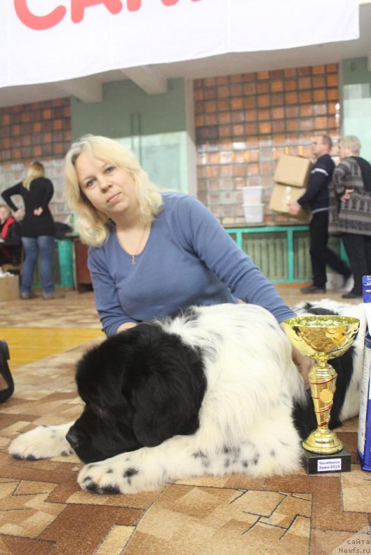 Фотография № 173282