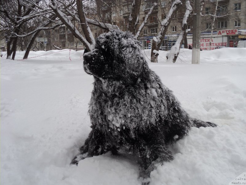 Фотография № 173286