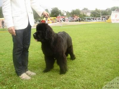 Фотография № 17329