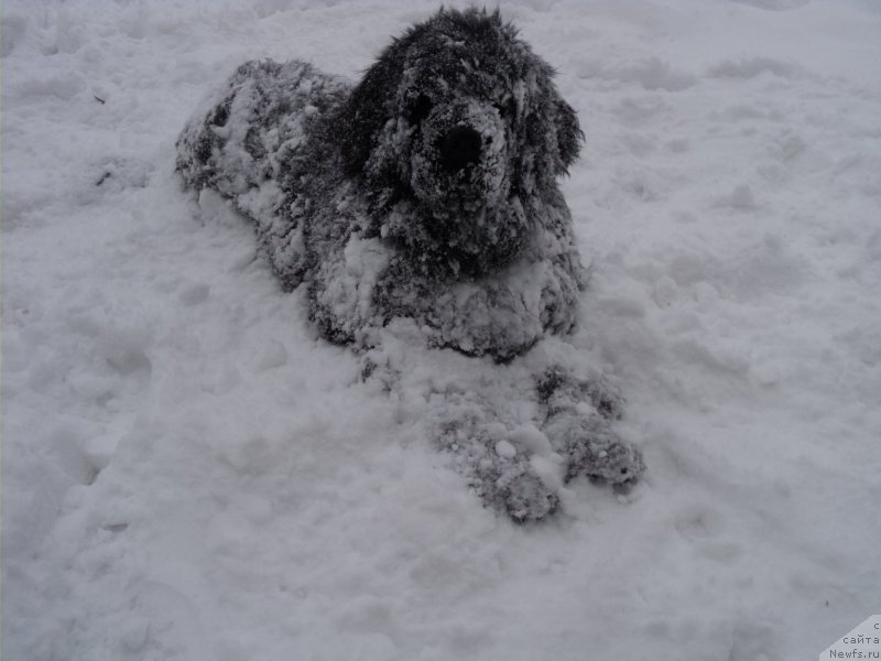 Фотография № 173290