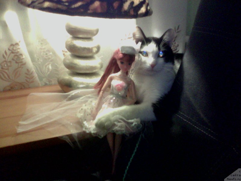 Фото: Светлана Полякова