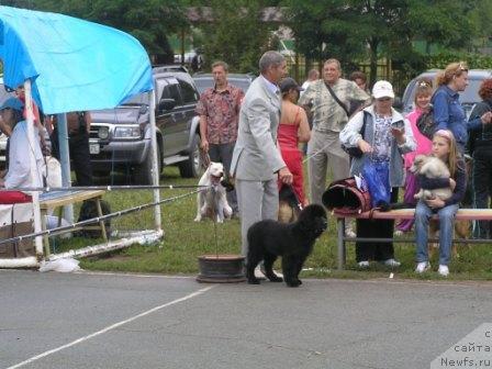 Фотография № 17331