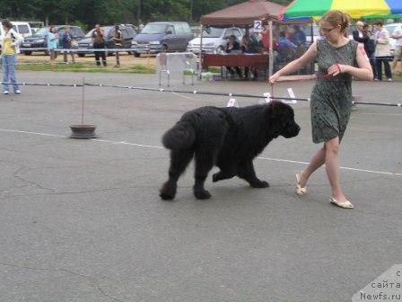 Фотография № 17332