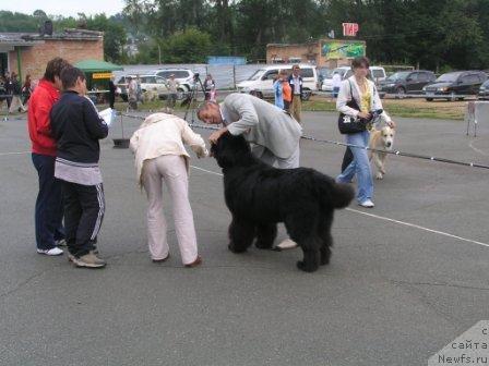 Фотография № 17333