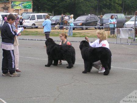 Фотография № 17334