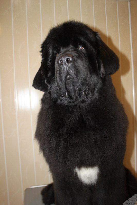 Фотография № 173355