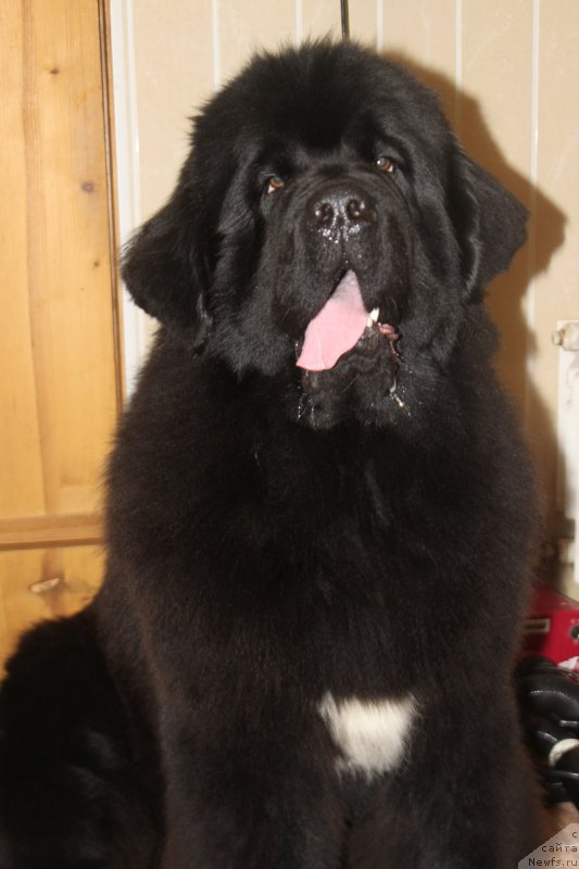 Фотография № 173356