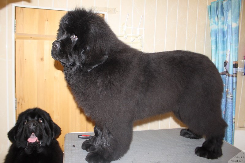 Фотография № 173359