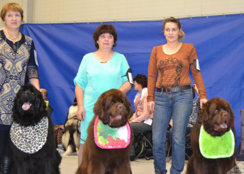 Фотография № 173378