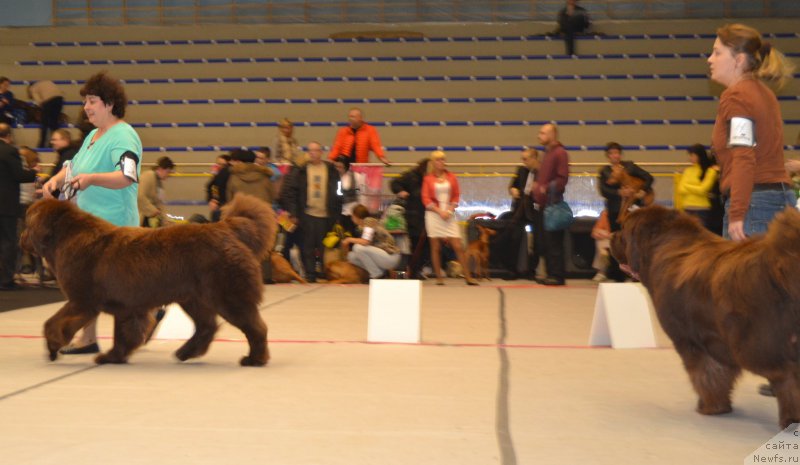 Фотография № 173379