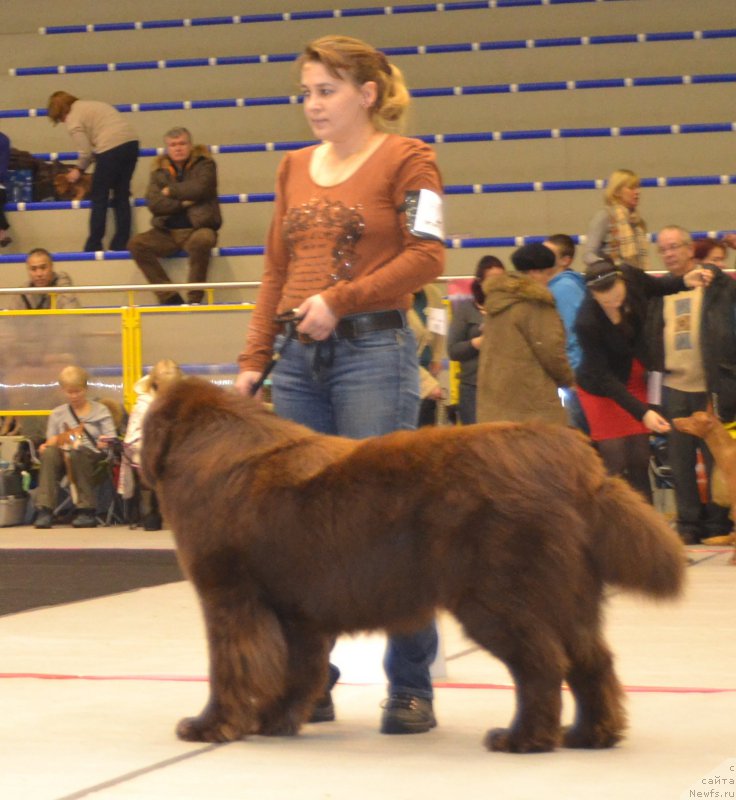 Фотография № 173380