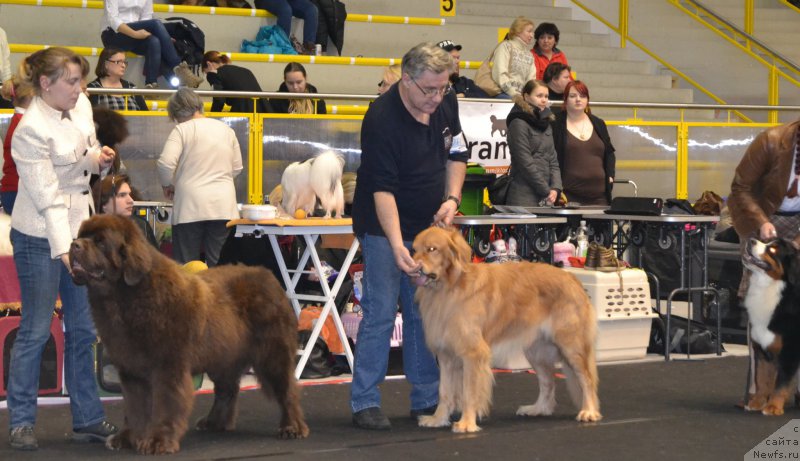 Фотография № 173383