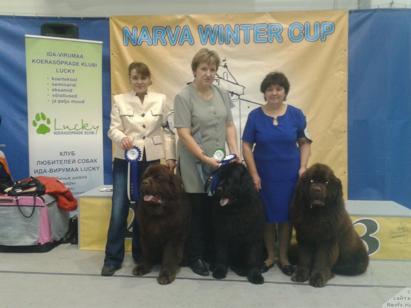 Фотография № 173384