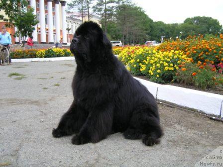 Фотография № 17339