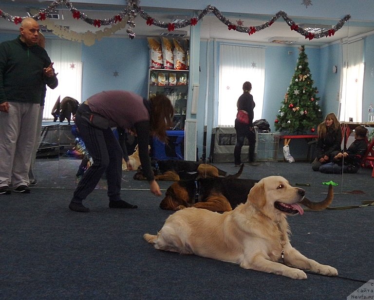 Фотография № 173392