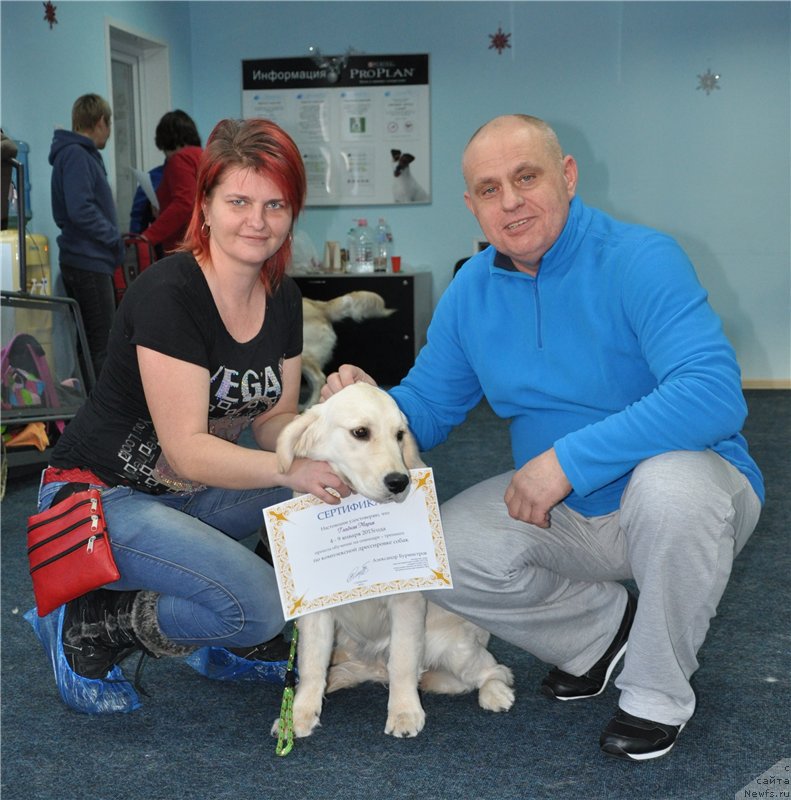 Фотография № 173394