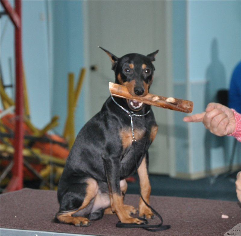 Фотография № 173396