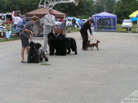 Фотография № 17340