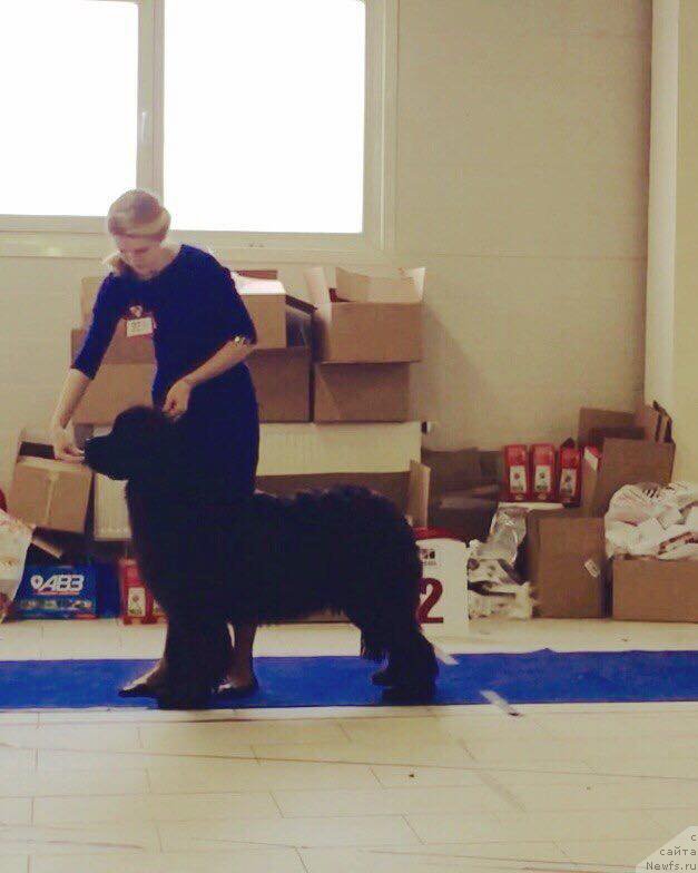 Фотография № 173431