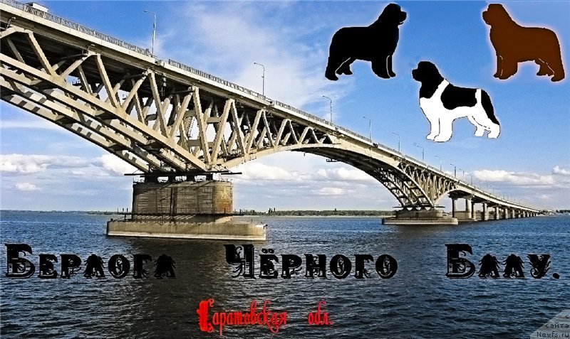 Фотография № 173437