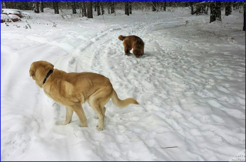 Фотография № 173450