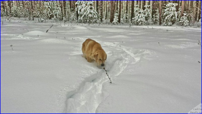 Фотография № 173451