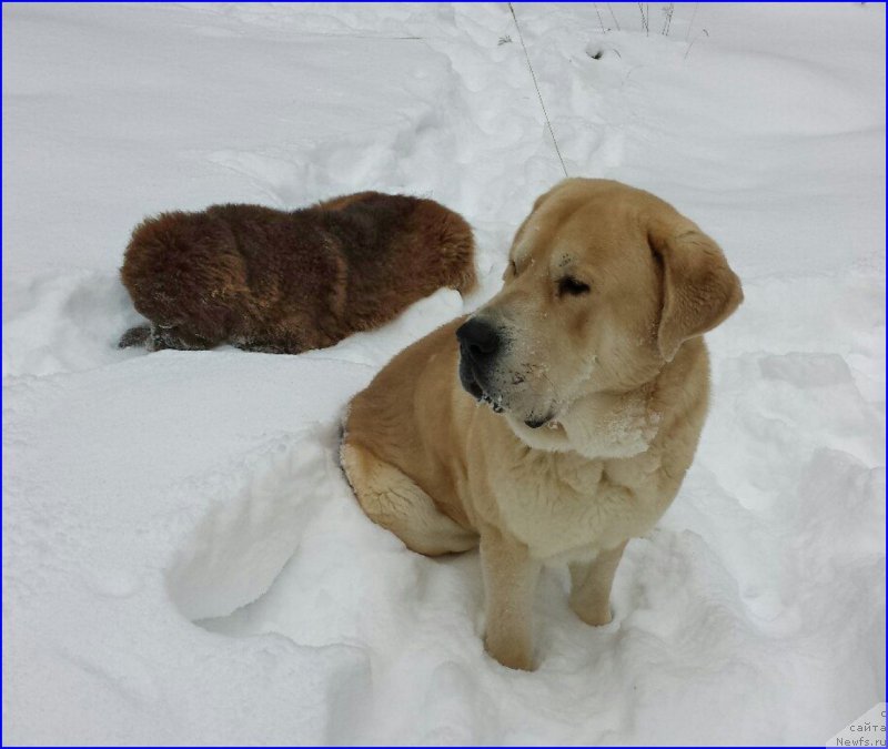 Фотография № 173452