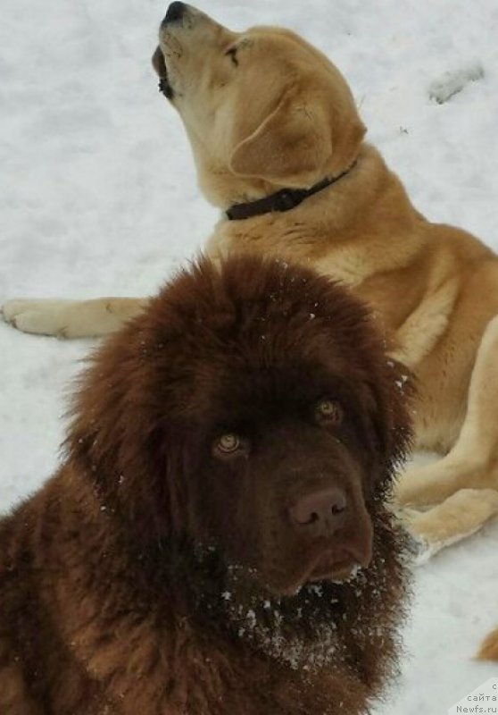 Фотография № 173455