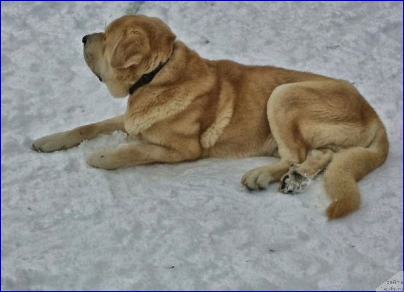 Фотография № 173456