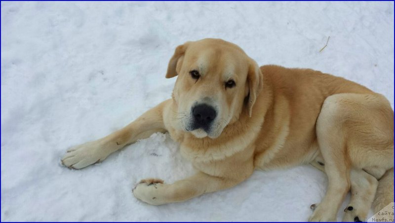 Фотография № 173457