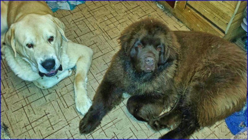 Фотография № 173458