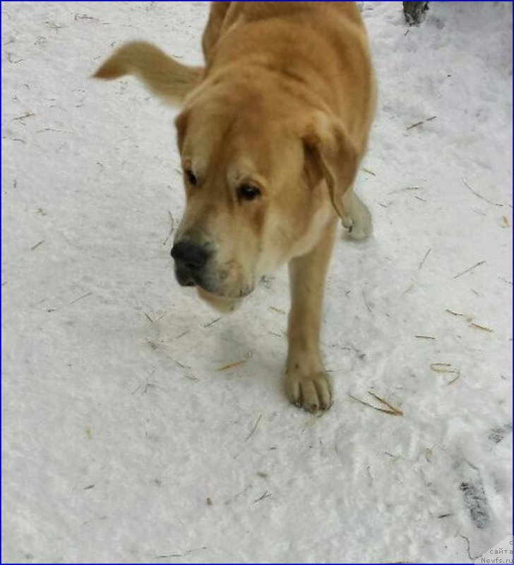 Фотография № 173478