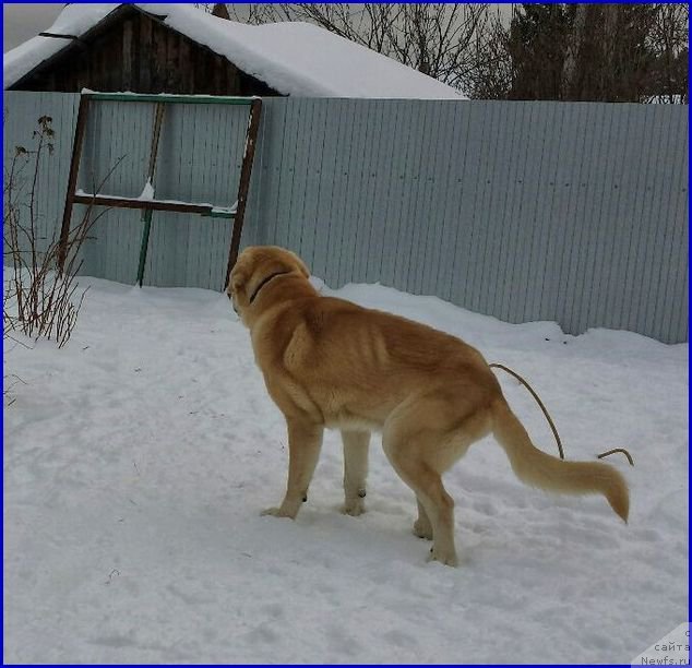 Фотография № 173479