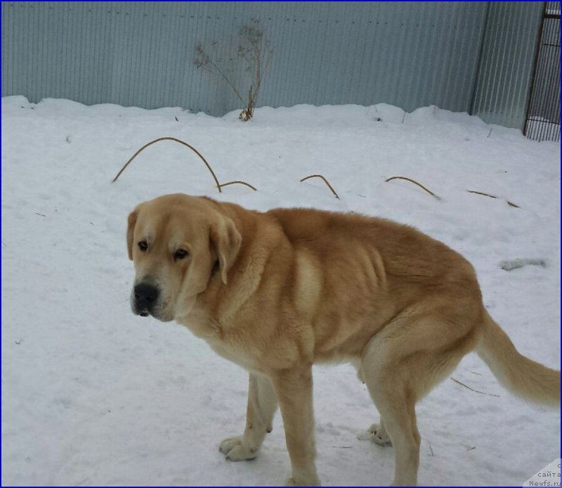 Фотография № 173480