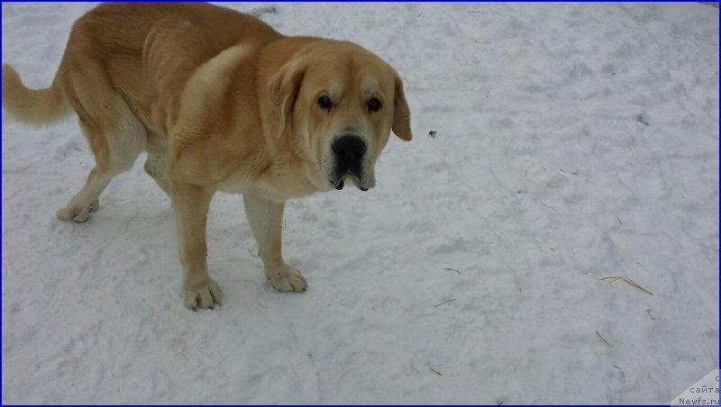 Фотография № 173481