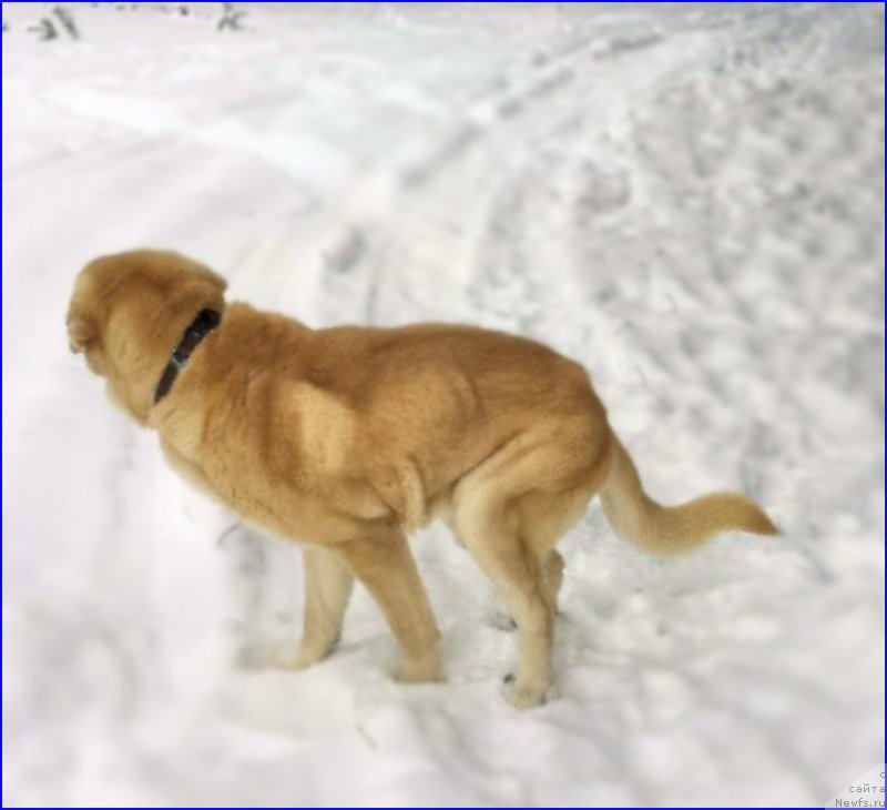 Фотография № 173482